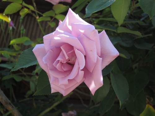 Attach image