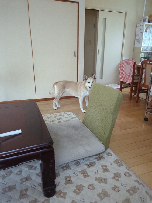 Attach image