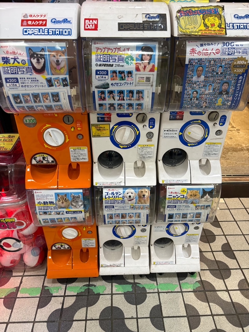 Attach image