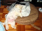 Attach image