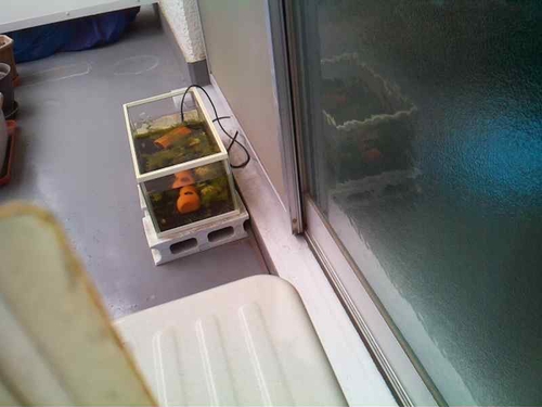 Attach image