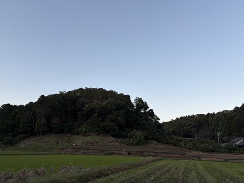 Attach image