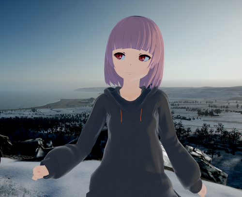 Attach image