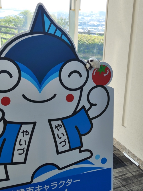 Attach image