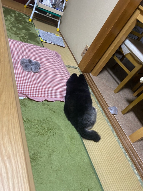 Attach image