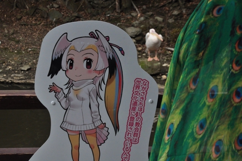 Attach image