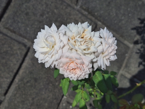 Attach image