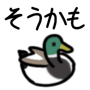 :souKAMO: