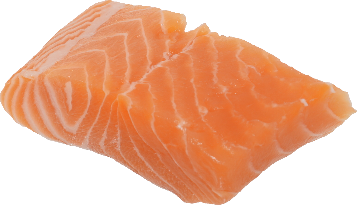 :salmon: