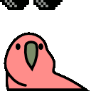 :dealwithitparrot: