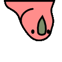 :aussieparrot: