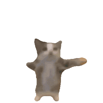 :happy_cat: