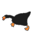 :goose_walk: