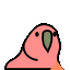 :arrow_up_parrot: