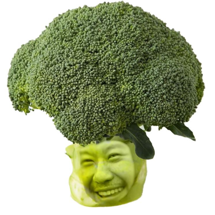 :broccobayashi: