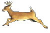 :deer_run: