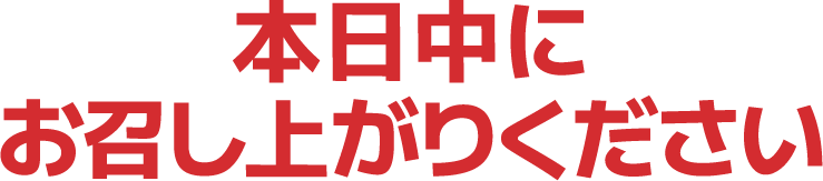 :honnjitutyuuniomesiagarikudasai: