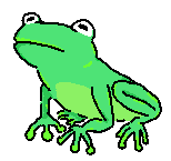 :09_frog: