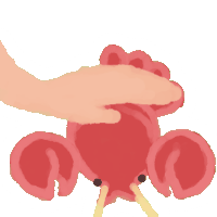:ablobzari_pat: