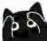 :blackcat_notlike: