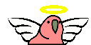 :angel_parrot: