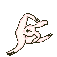:musclebunny_spin_dancing: