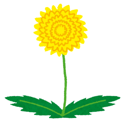 :flower_tanpopo: