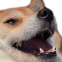 :doge_laugh: